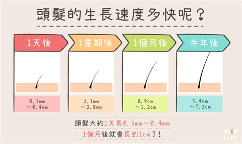 頭髮太長會影響運勢嗎|【剪頭髮運氣變差】剪頭髮原來會運氣變差？ 命理師：瀏海勿亂。